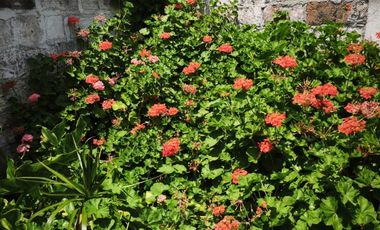 TTE. ROLANDO FROBEN/ GRAL. ADOLFO HOLEY/ SALAMANCA