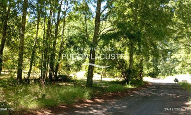 Parcela en venta en VILLARRICA