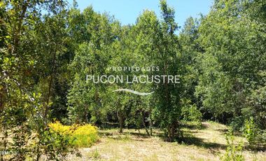 Parcela en venta en VILLARRICA