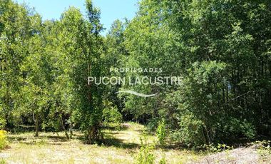 Parcela en venta en VILLARRICA