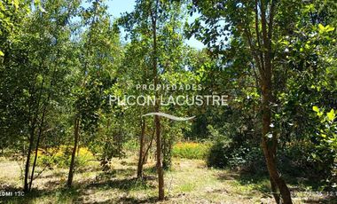 Parcela en venta en VILLARRICA