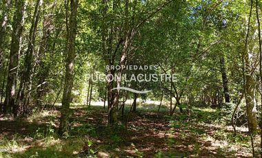 Parcela en venta en VILLARRICA