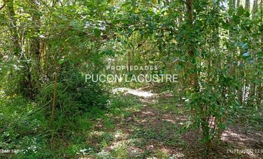 Parcela en venta en VILLARRICA