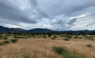 Parcela en venta  en LINARES