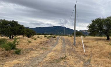 Parcela en venta  en LINARES