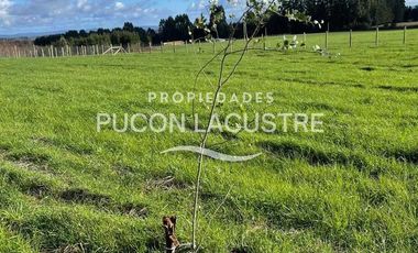 Parcela en venta en FREIRE