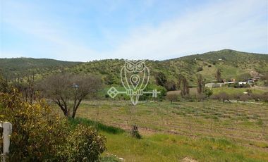 Parcela en Venta en Ruta G68.... camino a Rapel .........Unión de Codigua