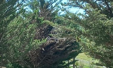 Parcela en Venta en Ruta G68.... camino a Rapel .........Unión de Codigua