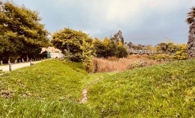 Departamento en arriendo por año corrido, Algarrobo