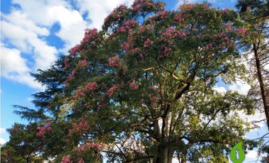 Casa en Venta de 3 Dor. | 8 Amb. B° San Alfonso - Villa Allende - Cba.