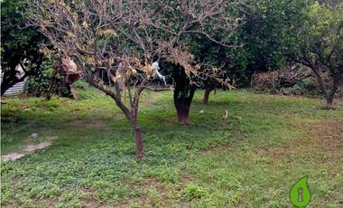 Casa en Venta de 2 Dor. | 4 Amb. B° Los Boulevares - Córdoba -