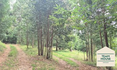 Hermosa Casa en Parcela