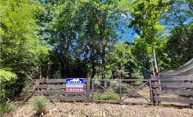 Carlos Keen 2 Has con 2 Casas Arboleda y Frutales