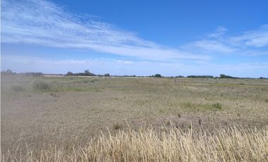 29,4 Hectareas en Cucullu San Andres de Giles
