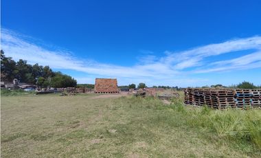 29,4 Hectareas en Cucullu San Andres de Giles