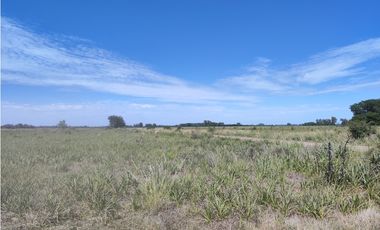 29,4 Hectareas en Cucullu San Andres de Giles
