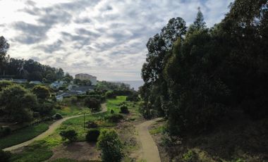 PRADERA, COSTA QUILEN