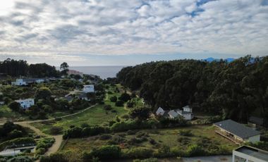 PRADERA, COSTA QUILEN