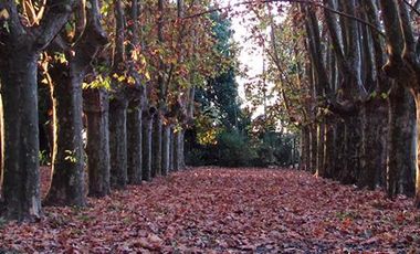 ESCRITURADO - BAJADA NAUTICA - RIO - PILETA