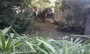 Terreno - Luis Guillon