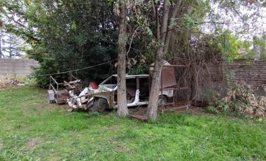 Terreno - Luis Guillon