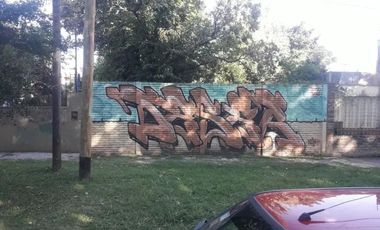 Terreno - Luis Guillon