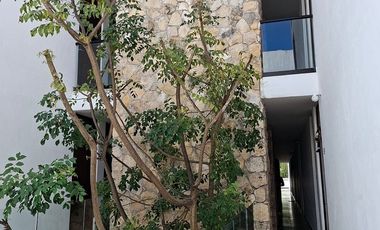 Departamento en Renta en Autana, Conkal