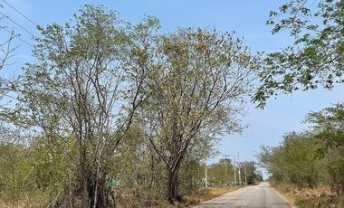 Terreno en venta en Conkal ideal para desarrolladores | Mérida | Yucatán