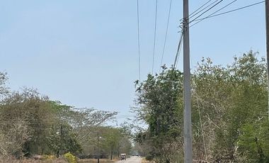 Terreno en venta en Conkal ideal para desarrolladores | Mérida | Yucatán