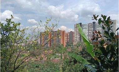 Arriendo Apartamento Edificio Tramontana