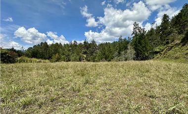 Venta De Lote En El Retiro La Fe