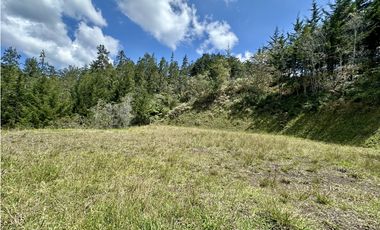 Venta De Lote En El Retiro La Fe