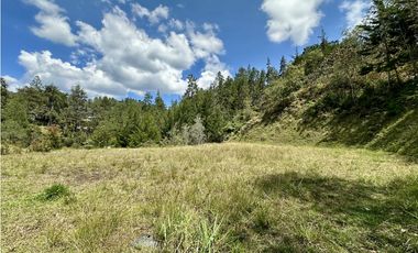 Venta De Lote En El Retiro La Fe