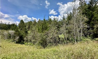 Venta De Lote En El Retiro La Fe