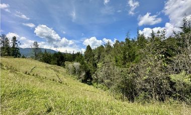 Venta De Lote En El Retiro La Fe