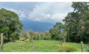 VENTA CASA CAMPESTRE FREDONIA EL ZANCUDO