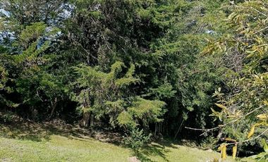 FINCA EN VENTA EN EL CARMEN DE VIBORAL VEREDA LA CHAPA. A TAN SOLO 5 KM DEL CASCO URBANO