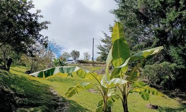 FINCA EN VENTA EN EL CARMEN DE VIBORAL VEREDA LA CHAPA. A TAN SOLO 5 KM DEL CASCO URBANO