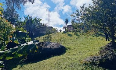 FINCA EN VENTA EN EL CARMEN DE VIBORAL VEREDA LA CHAPA. A TAN SOLO 5 KM DEL CASCO URBANO