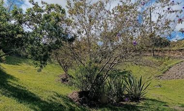 FINCA EN VENTA EN EL CARMEN DE VIBORAL VEREDA LA CHAPA. A TAN SOLO 5 KM DEL CASCO URBANO