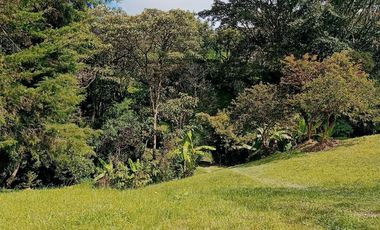 FINCA EN VENTA EN EL CARMEN DE VIBORAL VEREDA LA CHAPA. A TAN SOLO 5 KM DEL CASCO URBANO