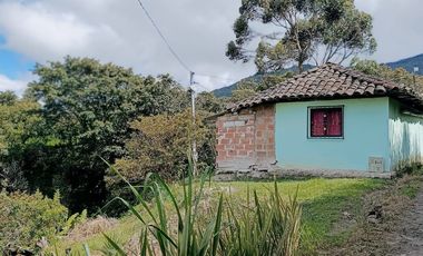 FINCA EN VENTA EN EL CARMEN DE VIBORAL VEREDA LA CHAPA. A TAN SOLO 5 KM DEL CASCO URBANO