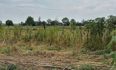RENTA DE TERRENO A UN LADO DEL ZOOLOGICO GUAMERU EL MARQUES QUERETARO