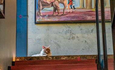 CASA DE LUJO EN VENTA EN ZAPOPAN AYAMONTE