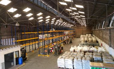 Depósito Galpon Nave Industrial Lanus