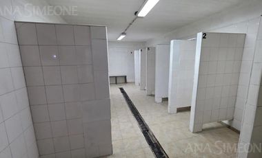 Galpón - Alquiler - Avellaneda Sarandi