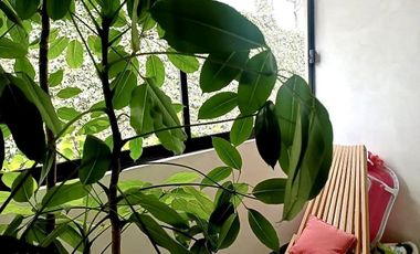 Renta casa en condominio en Lomas de Memetla