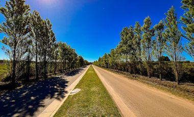 VENTA | LOTE BARRIO PRIVADO LAS PRUNAS