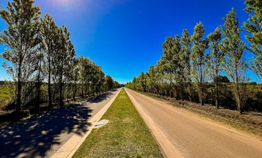 VENTA | LOTE BARRIO PRIVADO LAS PRUNAS