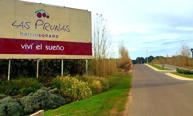 VENTA | LOTE BARRIO PRIVADO LAS PRUNAS